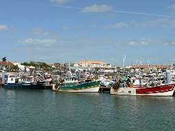 Hafen von La Cotinière