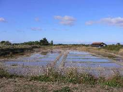 Port des Salines - Salzbecken