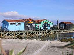 Port des Salines - Restaurant