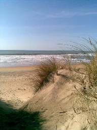 Les dunes de Le-Grand-Village-Plage